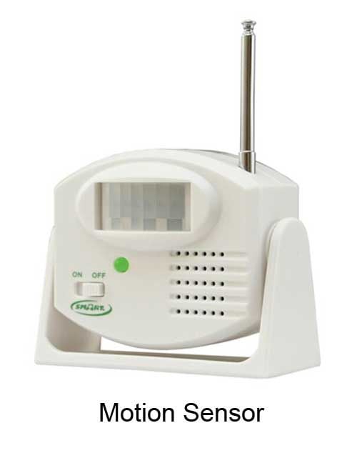 Motion Sensor