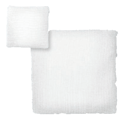 BioGuard Sponge Dressing
