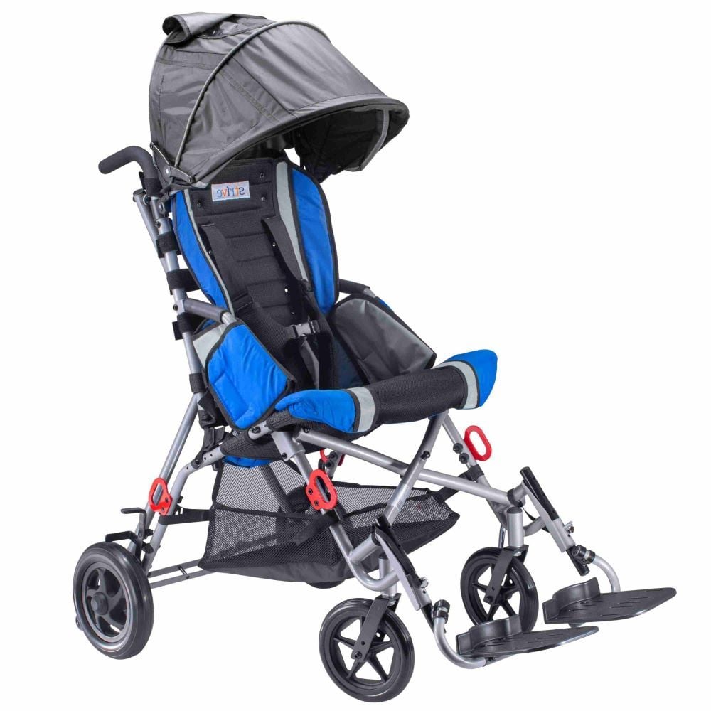 Strive Adaptive Stroller with canopy