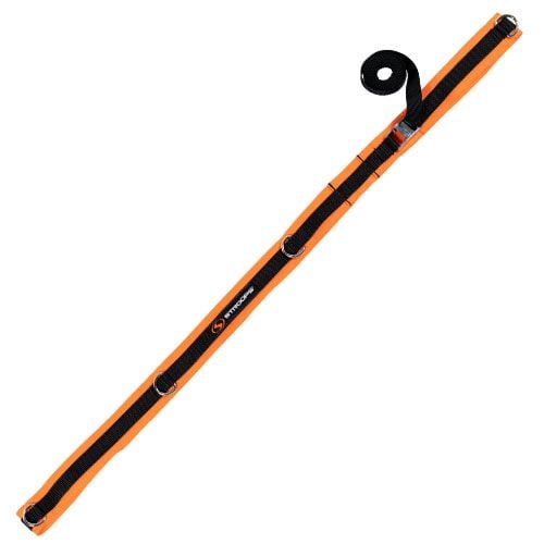 Orange spine strap