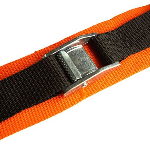 Closeup of buckle