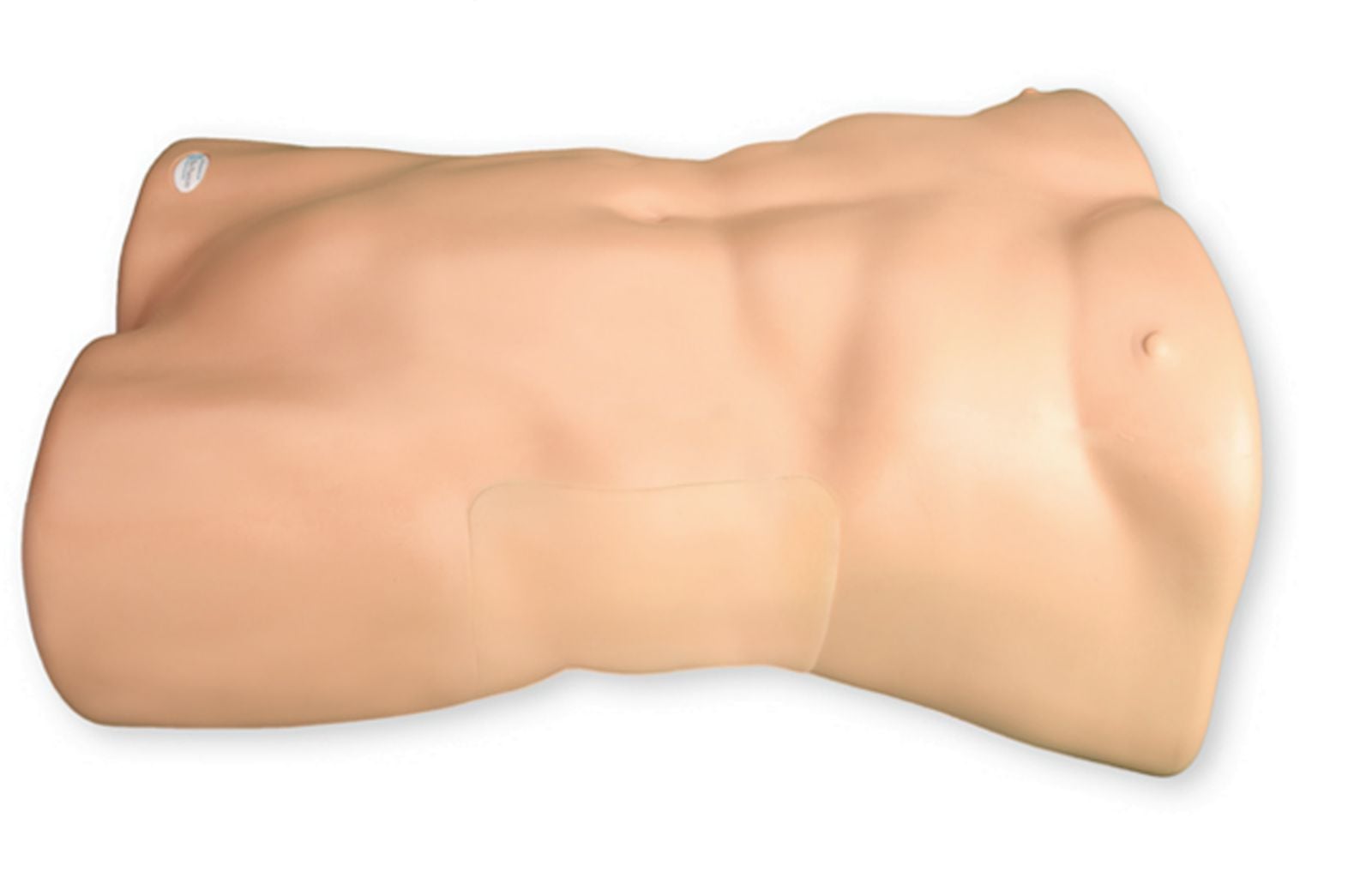 TAP Nerve Block Model