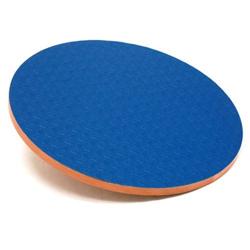 Image 1 of 3B Scientific Circular Wobble Board
