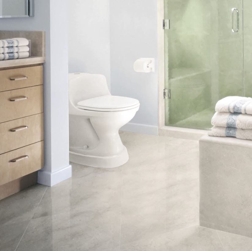 Toilevator In Bathroom Next to Shower