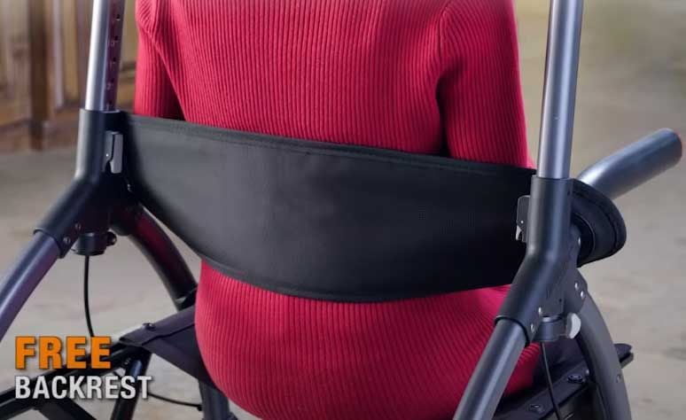Backrest