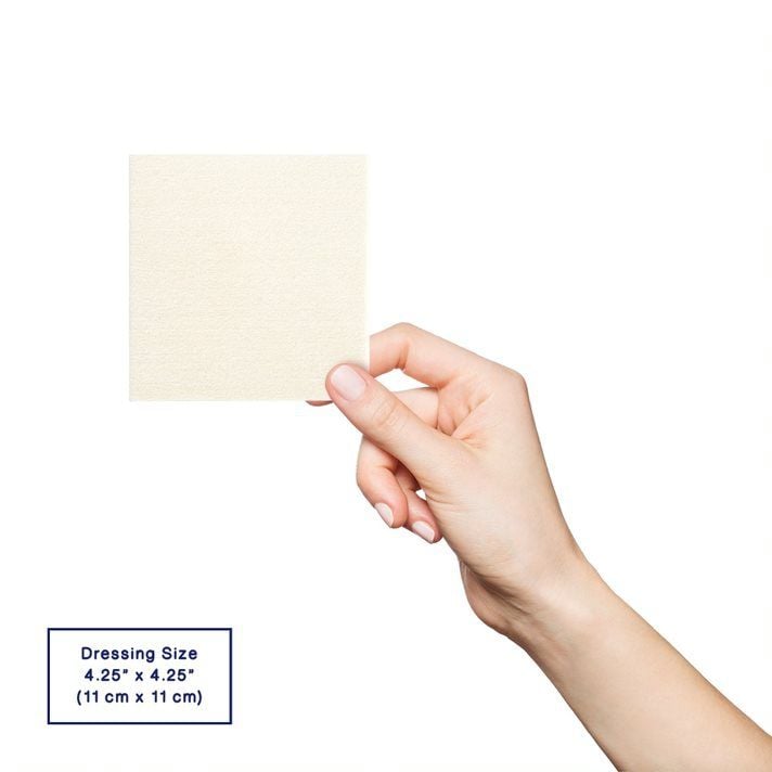 4.25 Inch x 4.25 Inch Alginate Dressing