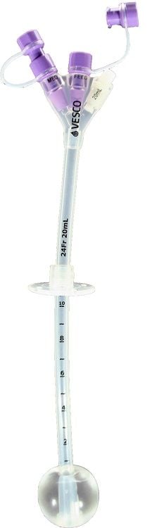 Gastrostomy Feeding Tube with ENFit