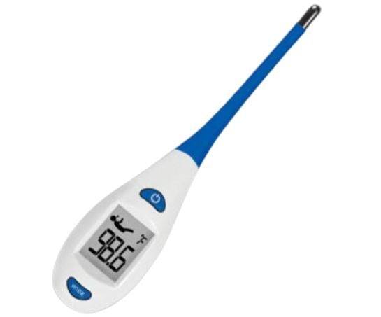 Thermometer With Gray Backlit Display