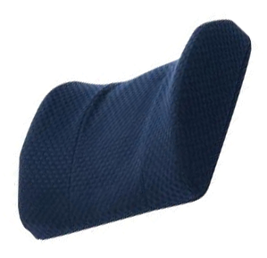 Lumbar Support Cushion - Carex