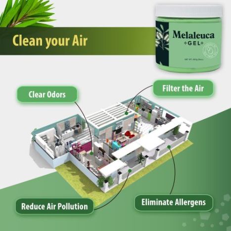 PMT's Melaleuca Gel cleans the air in indoor spaces.
