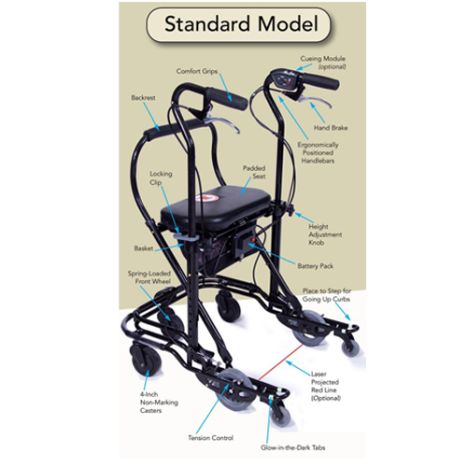 Standard Model