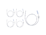 24 Inch Length, Bolus Feed, Catheter Tip, SECUR-LOK Straight Connector w/ Clamp (For MIC-KEY Low-Profile Gastrostomy, Jejunal, and Transgastric-Jejunal Feeding Tubes)