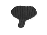 Genifit, Medium Short, Female