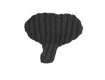 Genifit, Large, Short, Female