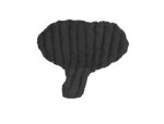 Genifit, X Large, Short, Female