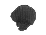 Genifit, 2X Large, Short, Male