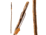 55 Inch, Free-Form Sapling Ironwood