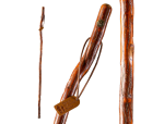 55 Inch, Free-Form Sapling Sassafras