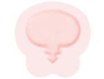 6-5/8 X 6-3/4 Inch, Sacrum