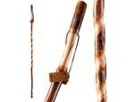 Twisted Hickory Sapling
