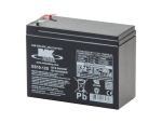 ES10-12S Battery