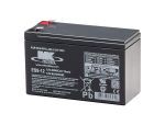 ES9-12 Battery