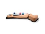 Gen II Arm PICC, PIV, and Arterial Line Vascular Access Model