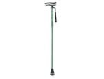Forest Air-Cane