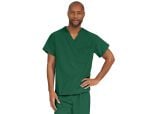Evergreen, 5-XL, Angelica Color Code