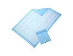 Medline Economy Protection Plus Underpads, Light Absorbency, MSC281226C