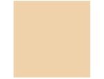 Natural Color Swatch