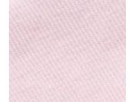 Pink Color Swatch