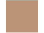 Sand Color Swatch