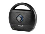 Black speaker