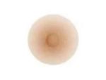 Small, Ivory Nipple