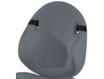 Dark Gray, Size 2 Back Cushion Only