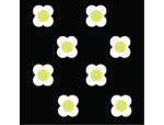 Daisies, Large