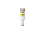 Wall Mount Toilet Support Short Swivel