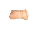 TAP Nerve Block Ultrasound Training Model