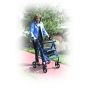 Duet Transport Chair Rollator by Drive
