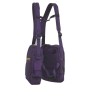 BackTPack Bag in the purple color