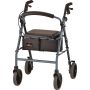 Blue Nova Zoom 24 Walker