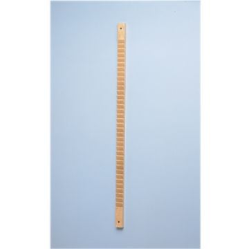 CanDo Shoulder and Finger Ladder