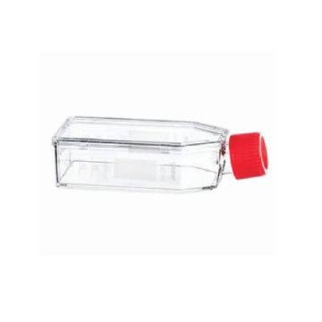 Greiner Bio-One Cellstar Cell Culture Flasks, 50 mL - 690175
