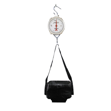 Detecto HS25KGP Suspended Hanging Baby Scale