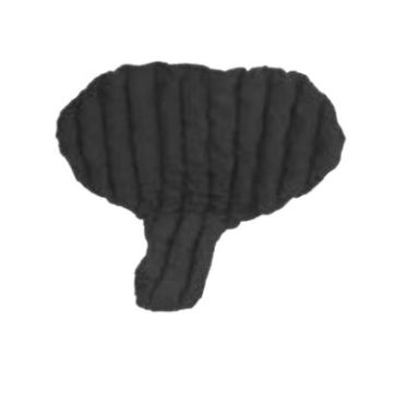 Genifit, Large, Short, Female