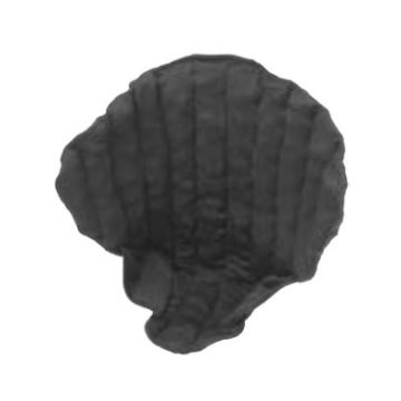 Genifit, Large, Short, Male