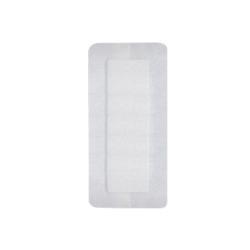 4 x 8 Inch Bandage, 2 x 5-1/2 Inch Pad