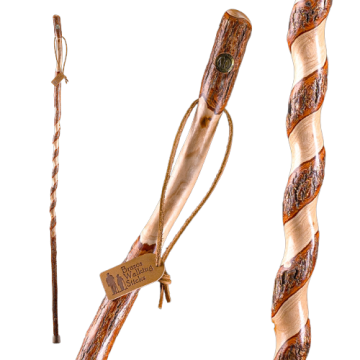55 Inch, Twisted Sapling Sassafras