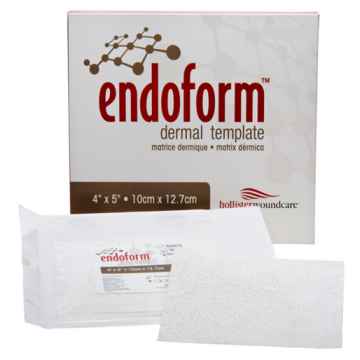 Endoform Dermal Template 4 x 5 Inch Fenestrated Dressing 
